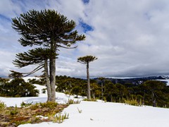Productora Fotográfica Nativo - PAISAJES