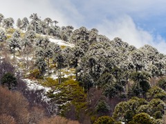 Productora Fotográfica Nativo - PAISAJES